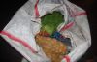 BESLE KARGAYI OYSUN GÖZÜNÜ..!