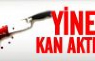 Bıçaklanan şahıs ağır yaralandı