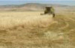 Biçerdöverin altında kalan adam ağır yaralandı