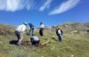 BİN KİŞİ ORMAN İŞİNDE ÇALIŞIYOR