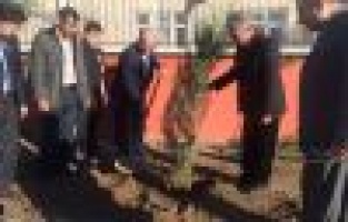 ‘Bir Ağaç, Bin Umut’ Fidan Dikim Kampanyası