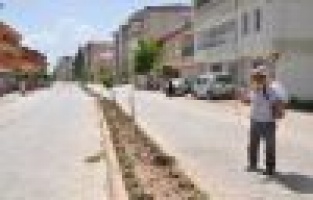 BÖCEKLERE KARŞI İLAÇLAMA ÇALIŞMALARI DEVAM EDİYOR