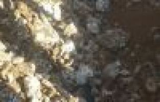 Boruların Zarar Gördüğü İddiası