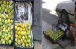 Bu Meyve Her Derde Deva 