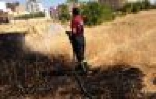 Buğday Tarlasında Yangın