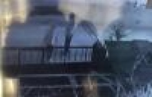 Bunlarda tavuk hırsızları