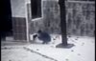 Cami musluklarını çalan şahıs yakalandı