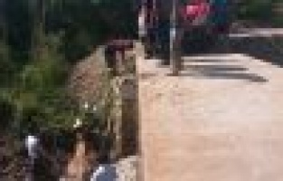 Çamura saplanan iki ineği itfaiye kurtardı