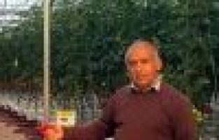 Çiftçi Serada Ölü Bulundu