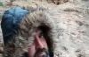 Çizgili sırtlan ile özçekim