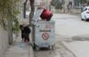 ÇÖPTE İÇLER ACISI MANZARA