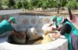 Cumhurbaşkanı Erdoğan’ın her sabah yediği dut pekmezinin sırrı güneşte