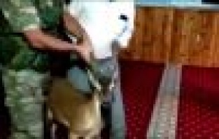 Dağ keçisi camiye girdi