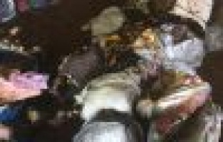 Depoda çıkan yangın korkuttu