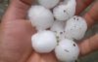 Dolu Yağışı Hayatı Felç Etti