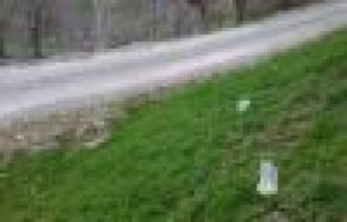 DÜN CESET, BUGÜN POŞET..!