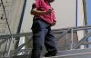 Ebabil kuşunu itfaiye ekipleri kurtardı