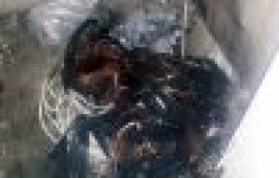 Elektrik kablolarını çalmak istediler