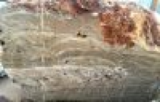 Ender Rastlanan Onyx Mermer Rezervi Tut İlçesinde Tespit Edildi