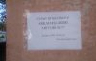 “Ev Arkadaşı Arıyorum” İlanı Şaşırttı