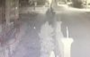 Eve tırmanarak giren hırsız yakalandı