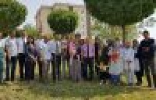 Fidanlar bebeklerle birlikte büyüyor