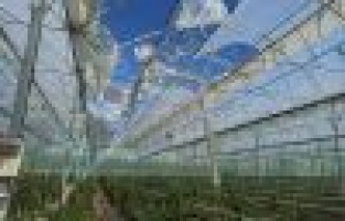 Fırtına Kahta’daki seraları vurdu