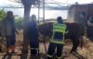 Fosseptik çukuruna düşen inek kurtarıldı 