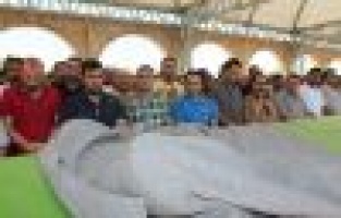 Gazeteci Zeynal Boz’un Acı Günü