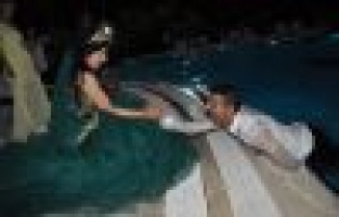 Gelin Damadı Havuza Attı