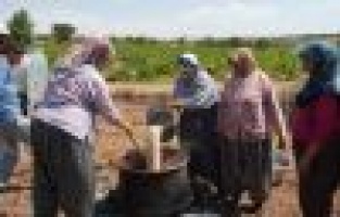 Gölbaşı İlçesinde Bağ Bozumu Şenlikleri Başladı