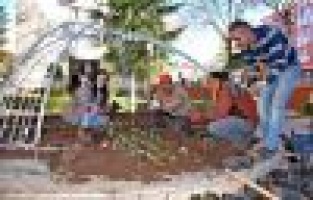 Gölbaşı İlçesinde Kışlık Çiçek Dikimi Başladı