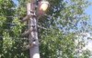 Gündüz yanan lambalara tepkiler devam ediyor