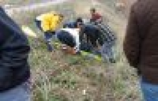 Hafif ticari araç şarampole yuvarlandı: 1 yaralı