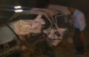  Hafif Ticari Araçla Otomobil Çarpıştı: 2 Ölü, 7 Yaralı