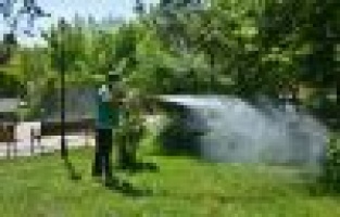 HAŞERE İLE MÜCADELE DEVAM EDİYOR