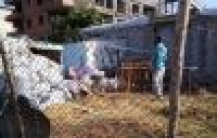 Haşereyle mücadele devam ediyor