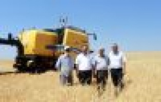 Hububat hasadında yüzde 20 artış yaşandı