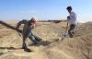 Hububatta Verim Yarı Yarıya Düştü