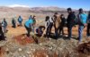 Hükümlüler fidanları toprakla buluşturdu