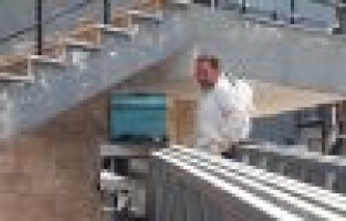 İtfaiye arıları topladı