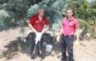 İtfaiye bu kez leylek için seferber oldu