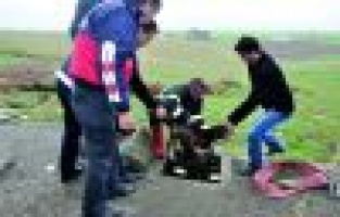 İTFAİYE EKİPLERİ KUYUYA DÜŞEN KÖPEK İÇİN SEFERBER OLDU