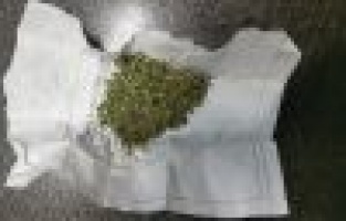 Jandarma ekipleri, 12 kişiyi gözaltına aldı