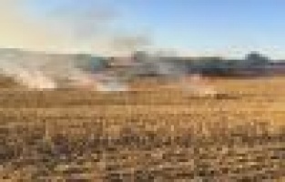 Jandarma ekipleri anız yakan şahıslara göz açtırmıyor