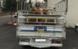 Jandarma hayvan hırsızlarını yakaladı 