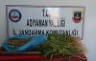 Jandarma uyuşturucu madde ele geçirdi