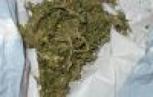 Jandarma uyuşturucu tacirlerine göz açtırmıyor