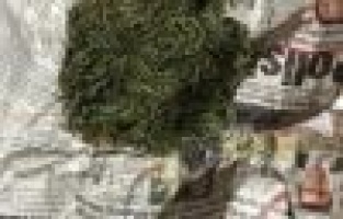 Jandarma uyuşturucuya geçit vermiyor: 10 Gözaltı 