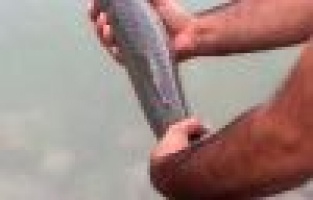 Kaçak avcılara geçit yok